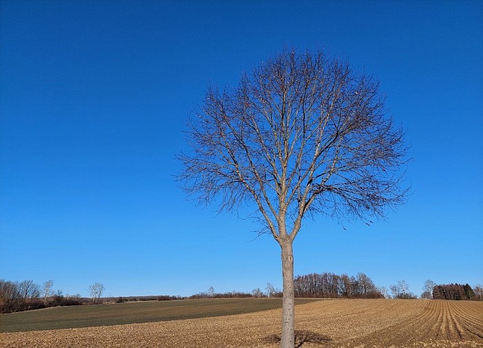 Felhőtlen